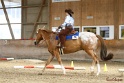26-ApHC GT_203